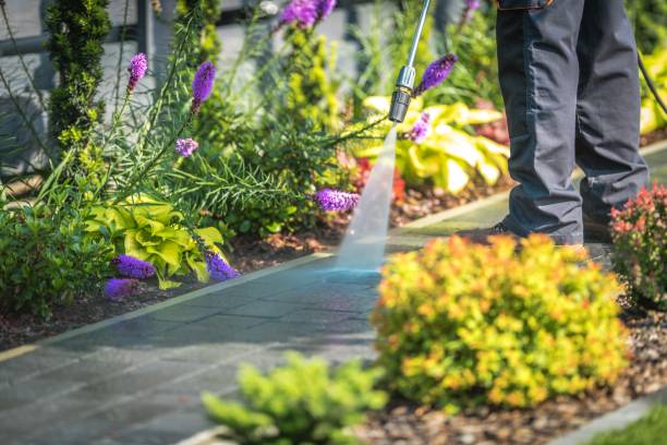 Trusted Minorca, LA  Pressure Washing Services Experts