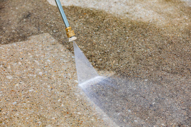 Best Dumpster Area Cleaning  in Minorca, LA