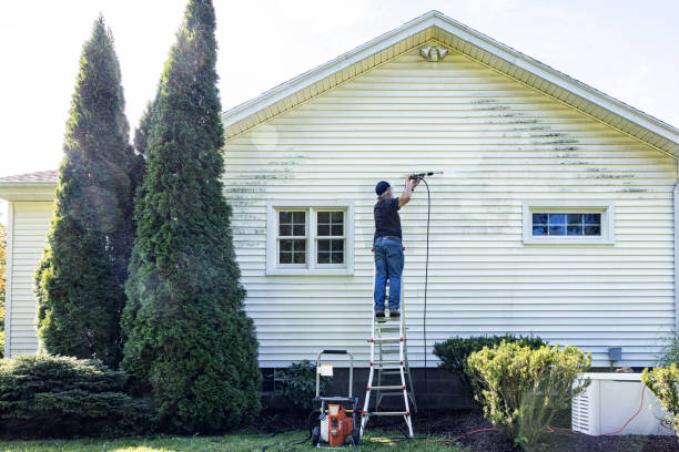 Best Fence Cleaning  in Minorca, LA