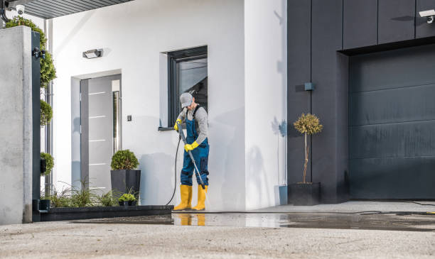 Best Gutter Cleaning  in Minorca, LA